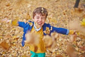 Fall Clean Up – 4 Things to Do to Keep Your Lawn Healthy Landscaping around the house services in Midway, Utah