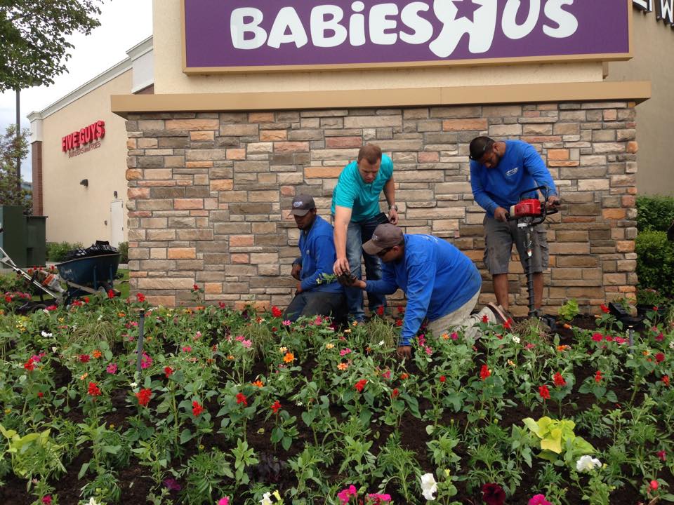 How to Identify an Excellent Commercial Landscape Service – Part 1 3 Commercial landscape service Park City