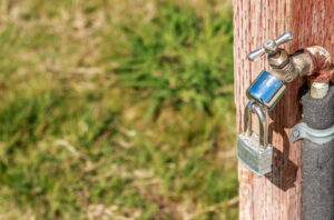 Drought-Proofing Your Landscape Design: Part I Drought Proof landscaping design Salt Lake City