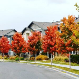 7 Actions You Can Take Now to Protect Your Landscaping Over the Winter Example of fall landscape services in Salt Lake City
