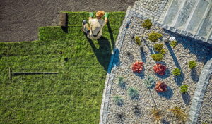 3 Major Benefits of Working with a Landscape Contractor 3 Major Benefits of Working with a Landscape Contractor