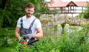 3 Reasons Why Every Business in Utah Needs Professional Landscaping 3 Reasons Why Every Business in Utah Needs Professional Landscaping
