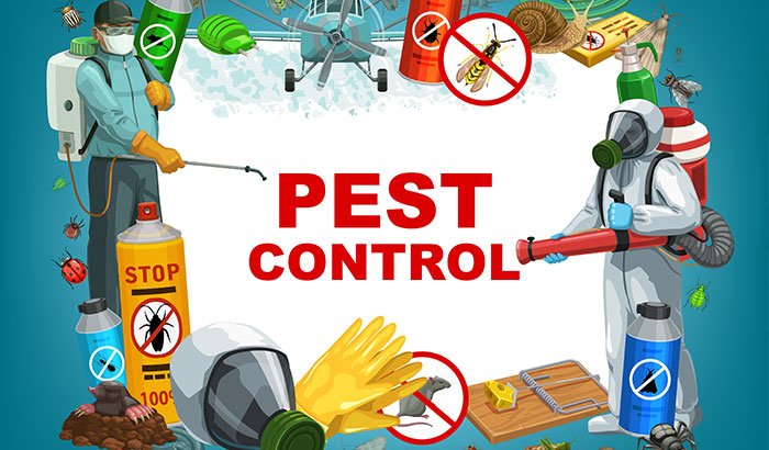 5 Tips for Summer Pest Prevention Before It’s Too Late
