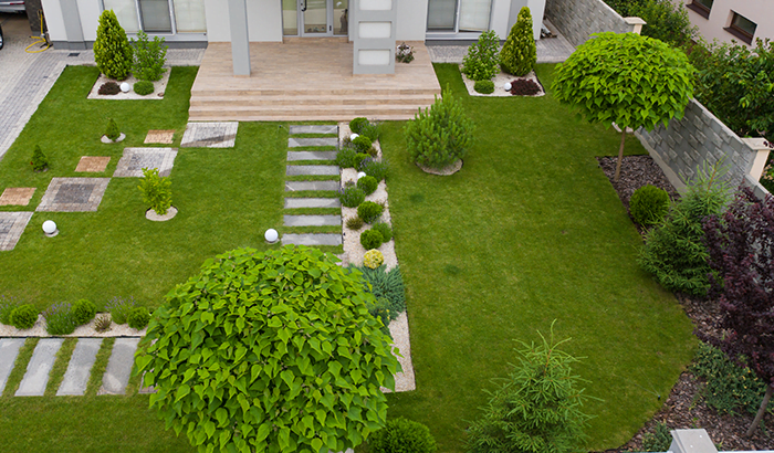 7 Plants to Consider Incorporating Into Your Utah Home’s Landscape Design