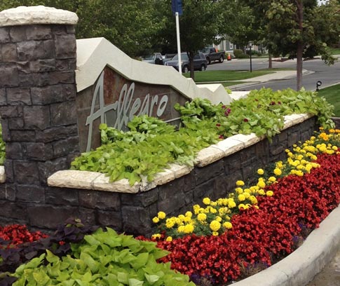 Commercial landscaper contractor for Allegro