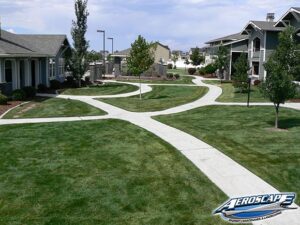 Benefits of Using A Full-Service Professional Landscaping Company AeroscapeGrubs