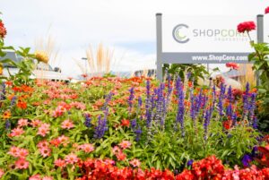 How to Identify an Excellent Commercial Landscape Service – Part 2 Commercial landscape service in Park City