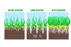 6 Benefits of Deep Core Aeration Aeration lawn care services Salt Lake City