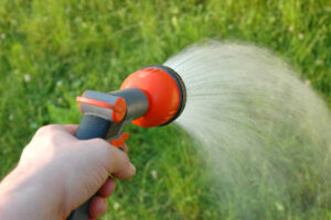 When and How to Water Your Grass in Hot Weather Water Grass in Hot Weather