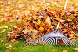 Seasonal Property Care and Maintenance: Your Year-Round Landscaping Solution landscape seasonal care and maintenance