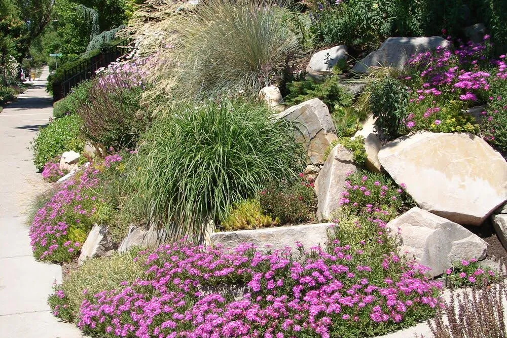 Xeriscaping: The Ultimate Water-Wise Landscaping Guide 8 xeriscaping guide for homeowners in utah