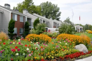 Smart Commercial Landscaping Budgeting: Avoid These 6 Costly Mistakes commercial landscaping budgeting