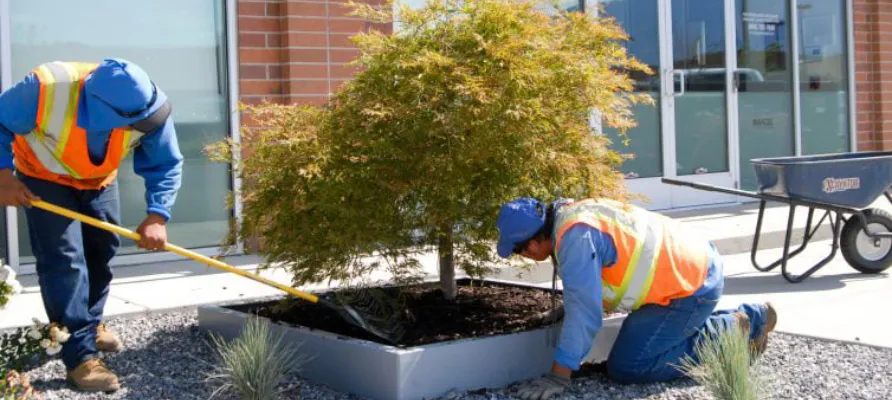 The Ultimate Guide to Choosing the Perfect Commercial Landscaping Company for Your Business 1 commercial landscaping services
