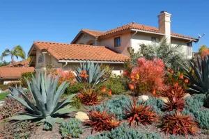 Drought-Proof Landscape Design: Your Utah Property Guide drought proof landscape design