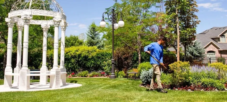 7 Essential Tree & Shrub Care Tips for Utah's Summer Heat 1 tree and shrub lawn care experts