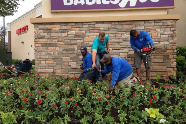 commercial landscaping process in utah