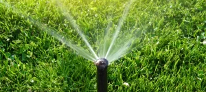 When Is the Best Time to Water Lawn in Hot Weather best-time-to-water-lawn-in-hot-weather