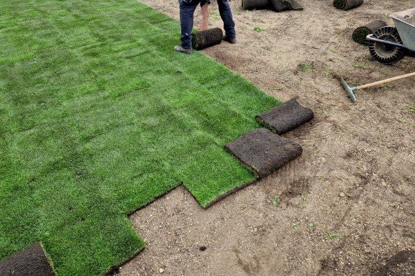 commercial sod installation utah