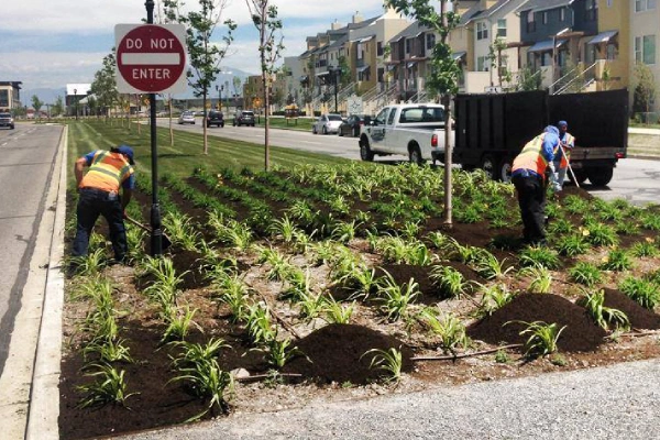 mulch replacement services utah