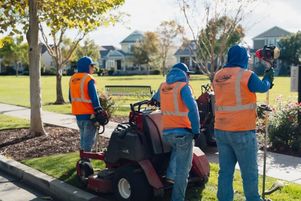 trusted commercial landscapers millcreek
