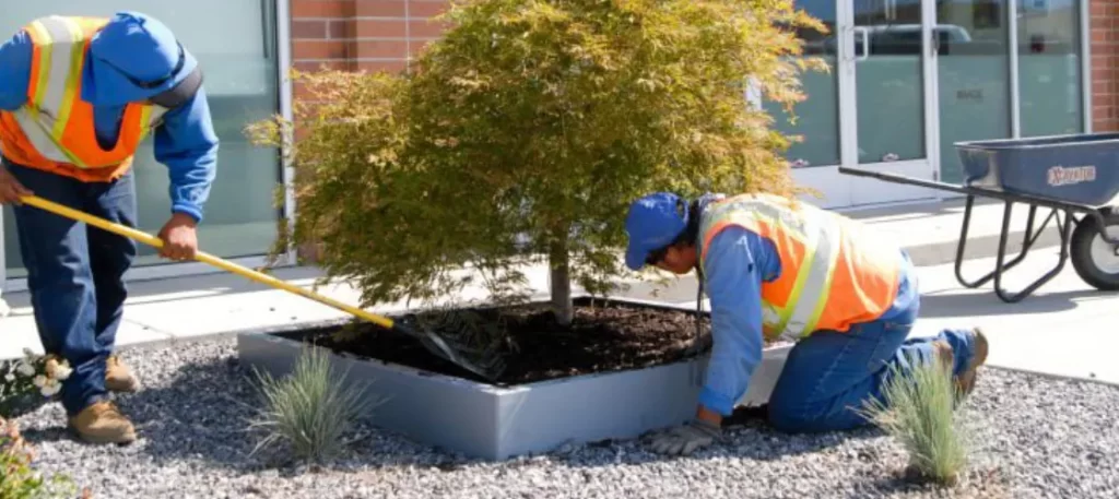 What to Expect from a Commercial Landscape Maintenance Contract in Salt Lake City 6 commercial landscape maintenance contract in salt lake city