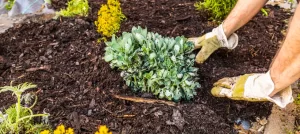 Landscaping in Lehi, Utah: A Year-Round Property Care Guide for Homes and HOAs landscaping lehi utah year round property care