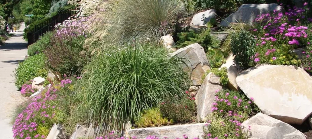 Xeriscaping in Utah: A Water-Wise Landscaping Guide for Salt Lake City & Wasatch Front Homes 4 xeriscaping in utah salt lake city and wasatch front