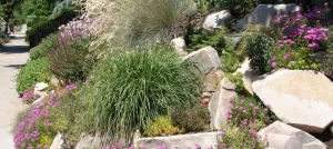 Xeriscaping in Utah: A Water-Wise Landscaping Guide for Salt Lake City & Wasatch Front Homes xeriscaping in utah salt lake city and wasatch front